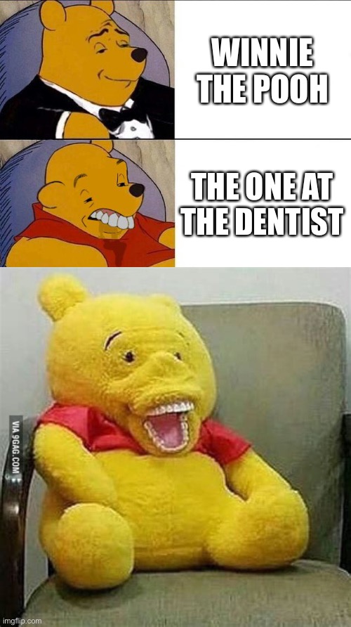 Dentist Pooh | WINNIE THE POOH; THE ONE AT THE DENTIST | image tagged in tuxedo winnie the pooh grossed reverse,fresh memes | made w/ Imgflip meme maker