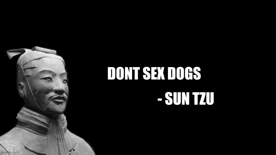 Sun Tzu | DONT SEX DOGS - SUN TZU | image tagged in sun tzu | made w/ Imgflip meme maker