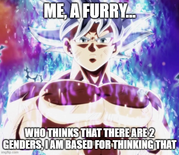 cry about it, there are only 2 genders | ME, A FURRY... WHO THINKS THAT THERE ARE 2 GENDERS, I AM BASED FOR THINKING THAT | image tagged in mastered ultra instinct goku | made w/ Imgflip meme maker