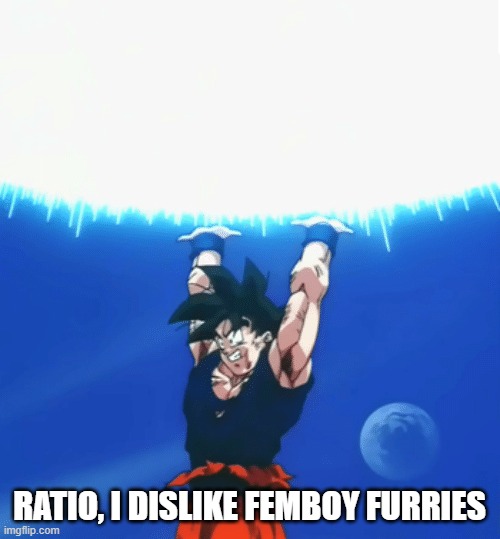 Goku Ratio | RATIO, I DISLIKE FEMBOY FURRIES | image tagged in goku ratio | made w/ Imgflip meme maker