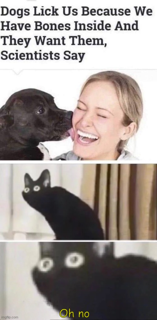 That's nice to know | image tagged in oh no cat but with text,dark humor | made w/ Imgflip meme maker