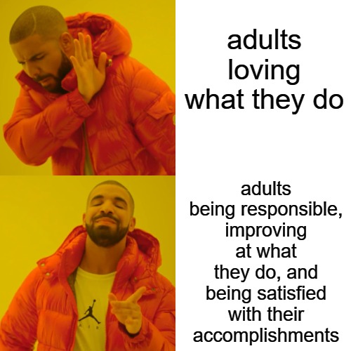 Drake Hotline Bling Meme | adults loving what they do adults being responsible, improving at what they do, and being satisfied with their accomplishments | image tagged in memes,drake hotline bling | made w/ Imgflip meme maker