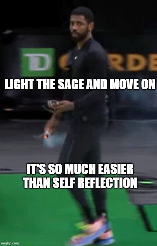 LIGHT THE SAGE AND MOVE ON; IT'S SO MUCH EASIER THAN SELF REFLECTION | made w/ Imgflip meme maker