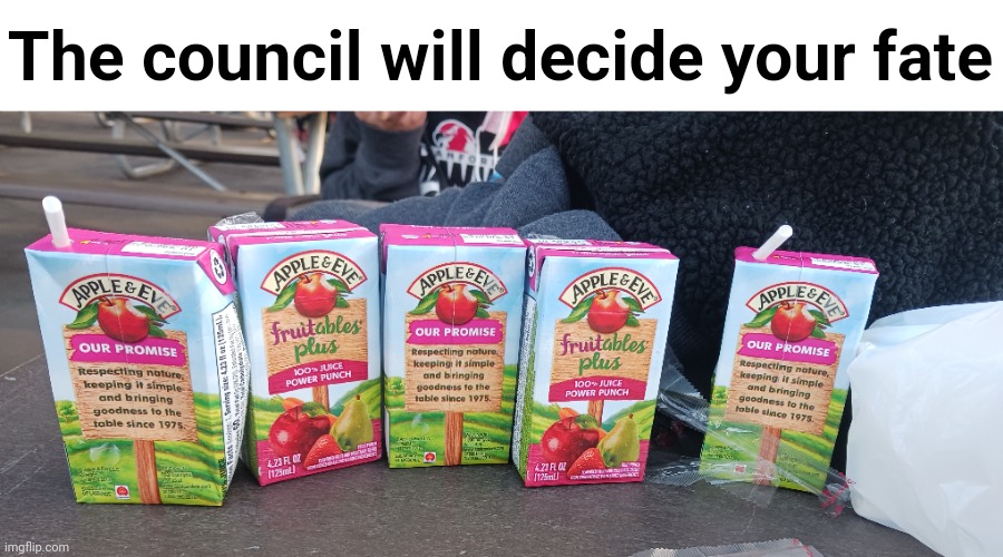 The council will decide your fate | image tagged in shitpost | made w/ Imgflip meme maker