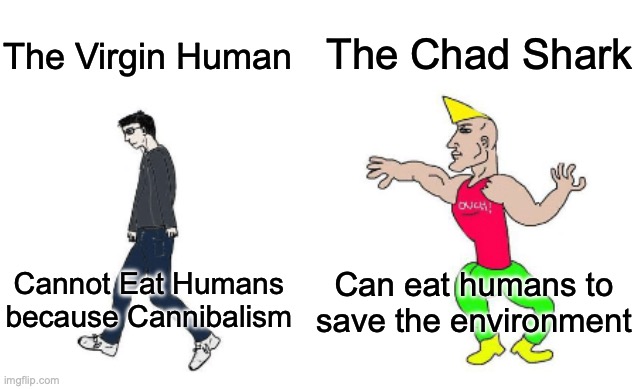 Watch out for the sharks, they're gonna get you | The Chad Shark; The Virgin Human; Can eat humans to save the environment; Cannot Eat Humans because Cannibalism | image tagged in virgin vs chad,shark,gnome,human,cannibalism | made w/ Imgflip meme maker