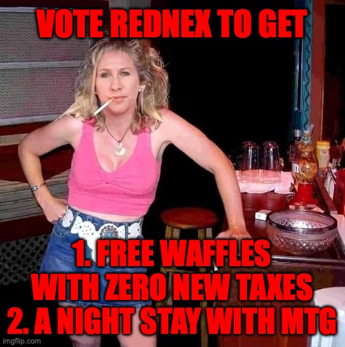 My ad for Redneck Partee, vote redneck partee | VOTE REDNEX TO GET; 1. FREE WAFFLES WITH ZERO NEW TAXES
2. A NIGHT STAY WITH MTG | image tagged in marjorie taylor greene mtg on her day off hillbilly redneck,vote,redneck,party,propaganda | made w/ Imgflip meme maker