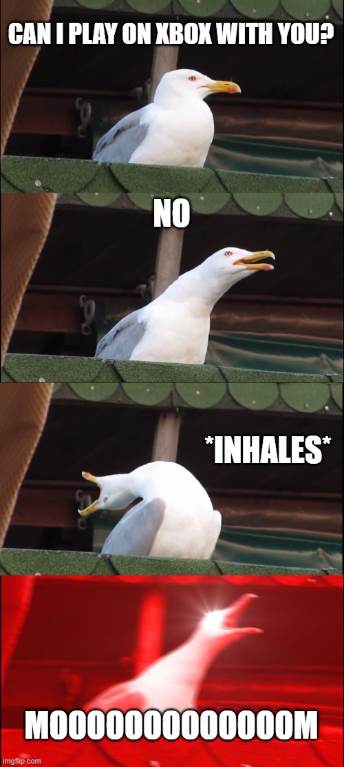 when your little bro wants to play with you | CAN I PLAY ON XBOX WITH YOU? NO; *INHALES*; MOOOOOOOOOOOOOM | image tagged in memes,inhaling seagull | made w/ Imgflip meme maker