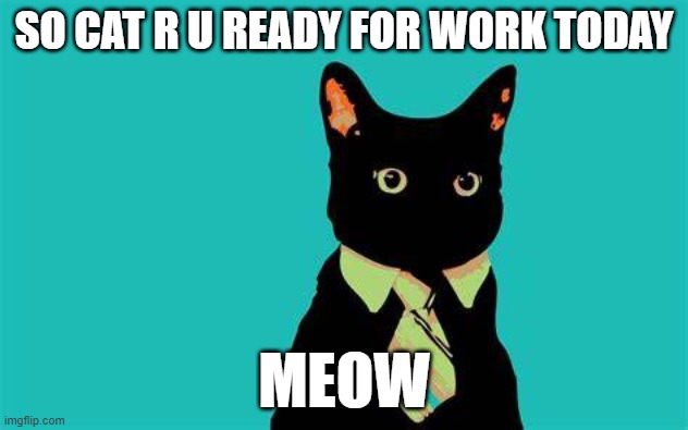 cat | SO CAT R U READY FOR WORK TODAY; MEOW | image tagged in cats | made w/ Imgflip meme maker