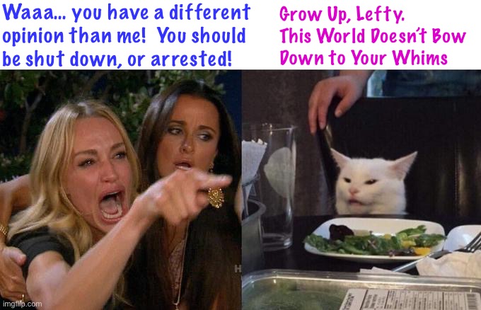 Woman Yelling At Cat Meme | Waaa… you have a different
opinion than me!  You should
be shut down, or arrested! Grow Up, Lefty. 
This World Doesn’t Bow
Down to Your Whims | image tagged in memes,woman yelling at cat | made w/ Imgflip meme maker