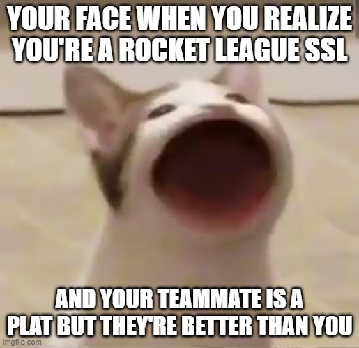 Rocket League season 7 plats be like... | YOUR FACE WHEN YOU REALIZE YOU'RE A ROCKET LEAGUE SSL; AND YOUR TEAMMATE IS A PLAT BUT THEY'RE BETTER THAN YOU | image tagged in pop cat,funny meme | made w/ Imgflip meme maker
