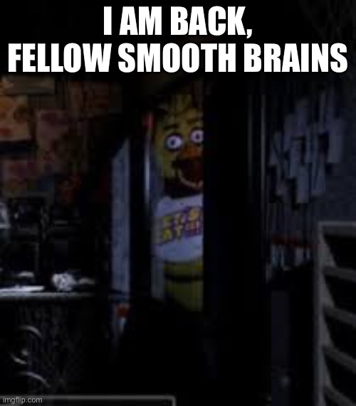 Hi! | I AM BACK, FELLOW SMOOTH BRAINS | image tagged in chica looking in window fnaf | made w/ Imgflip meme maker