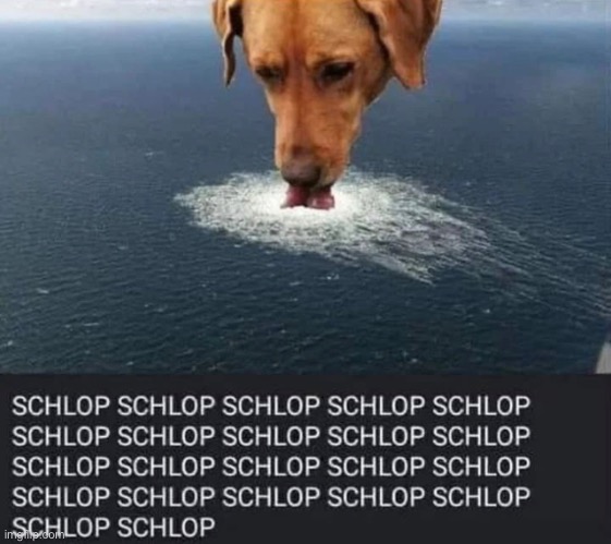 Schlop! | made w/ Imgflip meme maker