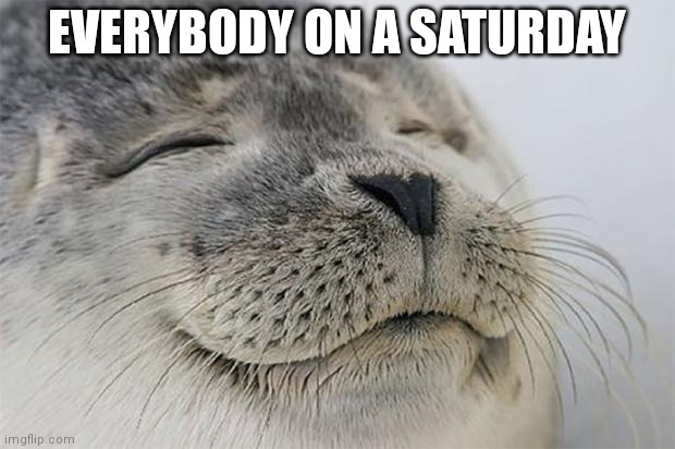 Saturday tho! | EVERYBODY ON A SATURDAY | image tagged in memes,satisfied seal | made w/ Imgflip meme maker