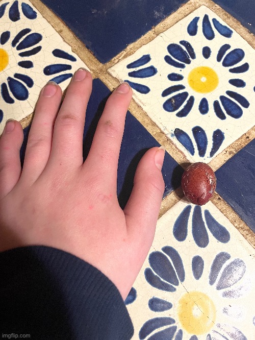 This is a very smol egg my chickens laid (My hand for size comparison) | image tagged in smol egg,chickens,photography | made w/ Imgflip meme maker