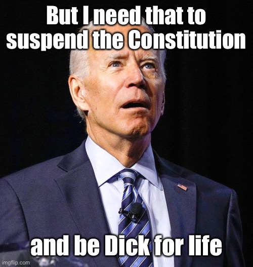 Joe Biden | But I need that to suspend the Constitution and be Dick for life | image tagged in joe biden | made w/ Imgflip meme maker