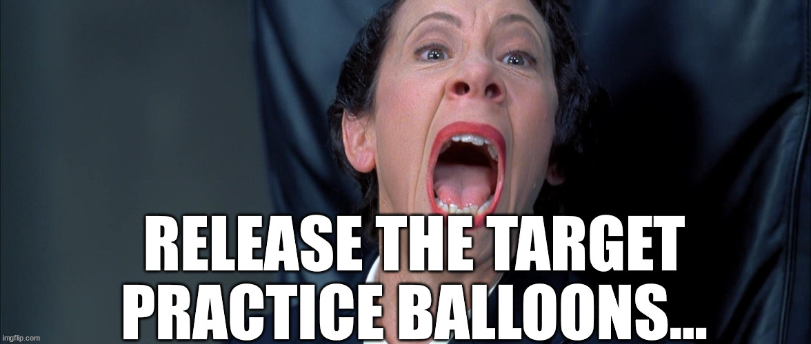 Frau Farbissina | RELEASE THE TARGET PRACTICE BALLOONS... | image tagged in frau farbissina | made w/ Imgflip meme maker