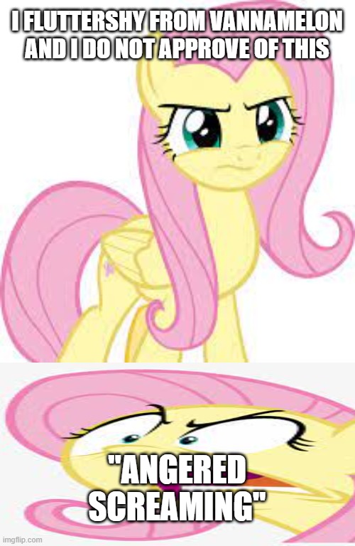 I FLUTTERSHY FROM VANNAMELON AND I DO NOT APPROVE OF THIS "ANGERED SCREAMING" | made w/ Imgflip meme maker