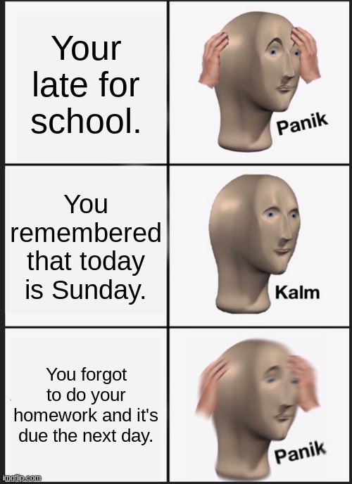Stress maker. | Your late for school. You remembered that today is Sunday. You forgot to do your homework and it's due the next day. | image tagged in memes,panik kalm panik | made w/ Imgflip meme maker