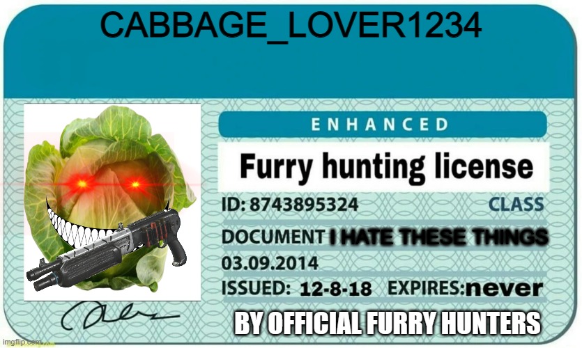 im now a furry hunter | CABBAGE_LOVER1234; I HATE THESE THINGS; BY OFFICIAL FURRY HUNTERS | image tagged in furry hunting license | made w/ Imgflip meme maker