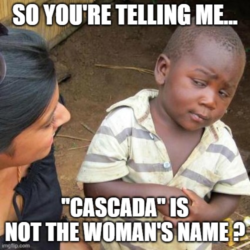 Third World Skeptical Kid | SO YOU'RE TELLING ME... "CASCADA" IS NOT THE WOMAN'S NAME ? | image tagged in memes,third world skeptical kid | made w/ Imgflip meme maker