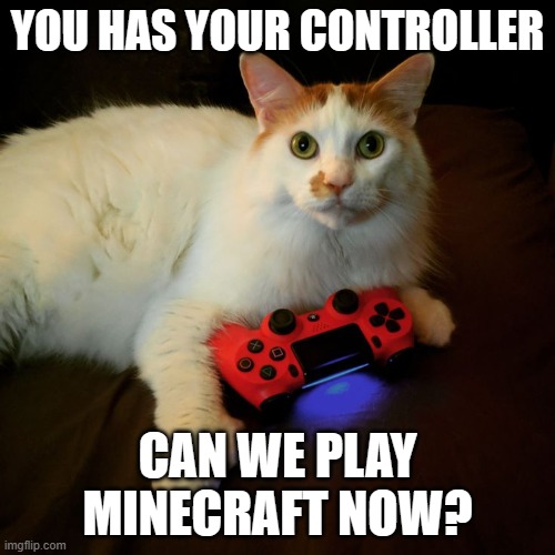 Minecraft? | YOU HAS YOUR CONTROLLER; CAN WE PLAY MINECRAFT NOW? | image tagged in minecraft | made w/ Imgflip meme maker