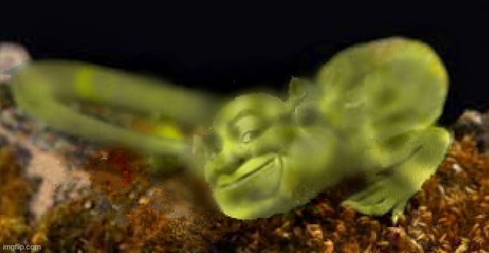rare shrek lizard found deep in the amazon rainforest   (I don't have photoshop so this was pixlr.com/e/) | image tagged in shrek,you have been eternally cursed for reading the tags | made w/ Imgflip meme maker