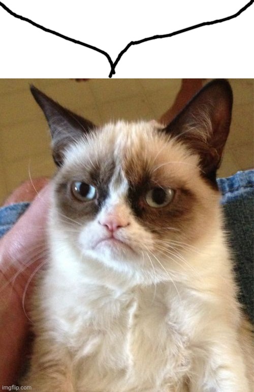 Grumpy Cat | image tagged in memes,grumpy cat | made w/ Imgflip meme maker