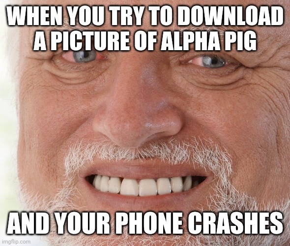 Based on a true story | WHEN YOU TRY TO DOWNLOAD A PICTURE OF ALPHA PIG; AND YOUR PHONE CRASHES | image tagged in hide the pain harold,funny,memes | made w/ Imgflip meme maker