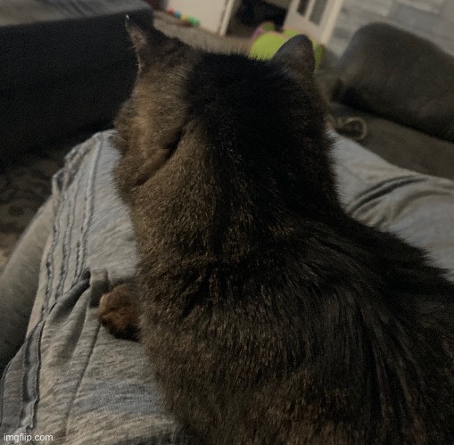 Little turd won’t look at me smh | made w/ Imgflip meme maker