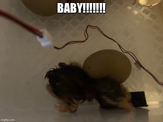 BABYYYYYYYYY!!!!!!!!!!!! | BABY!!!!!!! | made w/ Imgflip meme maker