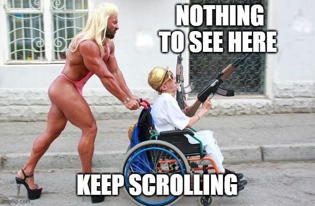 meme. | NOTHING TO SEE HERE; KEEP SCROLLING | image tagged in weird wheelchair | made w/ Imgflip meme maker