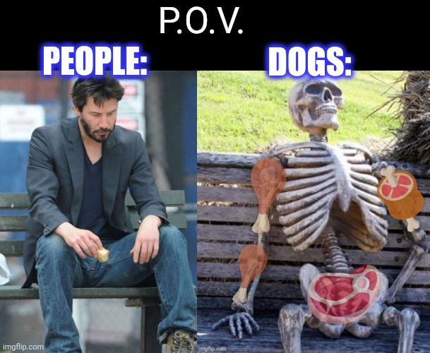 PEOPLE: DOGS: ? ? ? ? P.O.V. | image tagged in sad keanu reeves on a bench | made w/ Imgflip meme maker