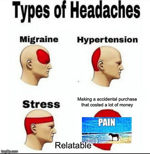 This actually happened to me | Making a accidental purchase that costed a lot of money; Relatable | image tagged in types of headaches meme | made w/ Imgflip meme maker