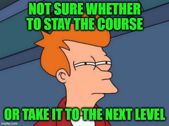 Futurama Fry Meme | NOT SURE WHETHER TO STAY THE COURSE; OR TAKE IT TO THE NEXT LEVEL | image tagged in memes,futurama fry | made w/ Imgflip meme maker