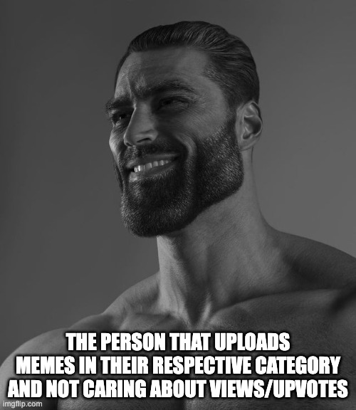 respect | THE PERSON THAT UPLOADS MEMES IN THEIR RESPECTIVE CATEGORY AND NOT CARING ABOUT VIEWS/UPVOTES | image tagged in giga chad | made w/ Imgflip meme maker