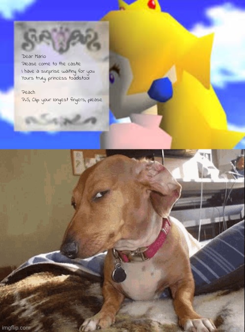 Dear Mario
Please come to the castle
I have a surprise waiting for you
Yours truly, princess toadstool
 
Peach
P.S, Clip your longest finger | image tagged in blank peach letter,sus dog | made w/ Imgflip meme maker