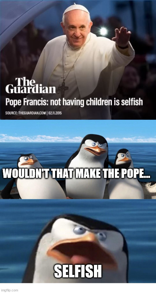 Glass Houses | WOULDN'T THAT MAKE THE POPE... SELFISH | image tagged in wouldn't that make you,pope,god,church,jesus,news | made w/ Imgflip meme maker