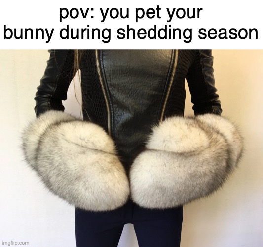pov: you pet your bunny during shedding season | made w/ Imgflip meme maker