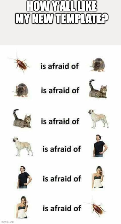 Afraid of loop back | HOW Y’ALL LIKE MY NEW TEMPLATE? | image tagged in afraid of loop back | made w/ Imgflip meme maker