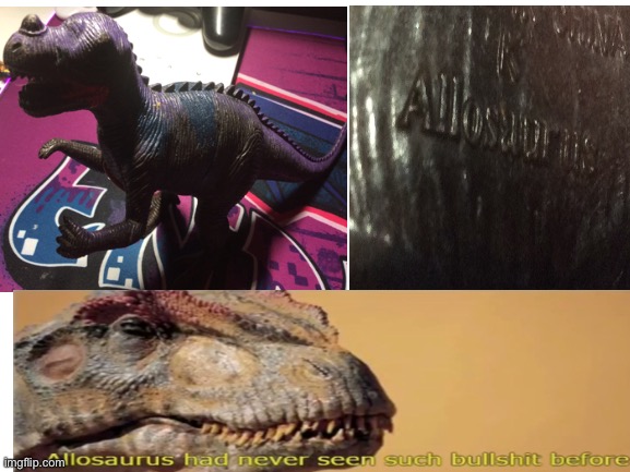 Allosaurus | image tagged in dinosaurs,stupid people | made w/ Imgflip meme maker