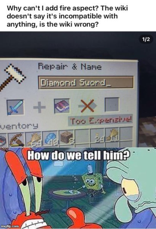 Sad | image tagged in sad,minecraft,memes,minecraft memes,how do we tell him | made w/ Imgflip meme maker