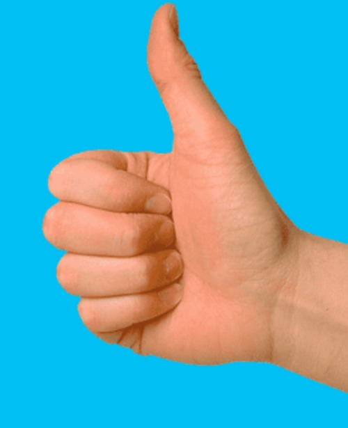 thumbs up | image tagged in thumbs up | made w/ Imgflip meme maker