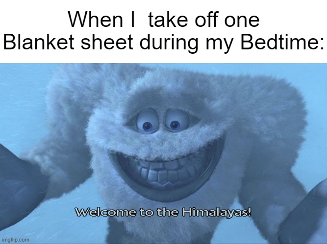 Welcome to the himalayas |  When I  take off one Blanket sheet during my Bedtime: | image tagged in welcome to the himalayas,memes,funny,sleep,cold,relatable memes | made w/ Imgflip meme maker