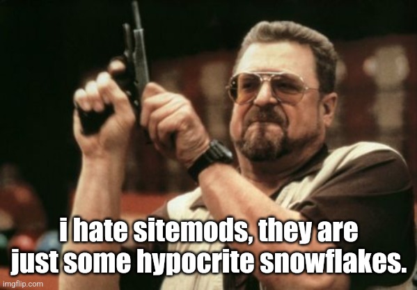 Am I The Only One Around Here Meme | i hate sitemods, they are just some hypocrite snowflakes. | image tagged in memes,am i the only one around here | made w/ Imgflip meme maker