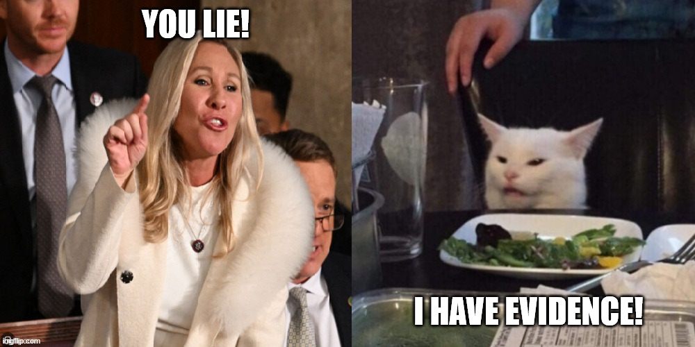 Liar Liar | YOU LIE! I HAVE EVIDENCE! | image tagged in marjorie taylor green,mtg,republican,liar | made w/ Imgflip meme maker
