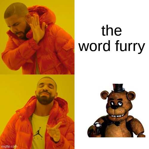 Drake Hotline Bling | the word furry | image tagged in memes,drake hotline bling | made w/ Imgflip meme maker