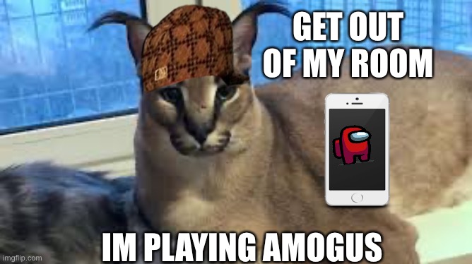 Floppa playing amogus | GET OUT OF MY ROOM; IM PLAYING AMOGUS | image tagged in floppa | made w/ Imgflip meme maker