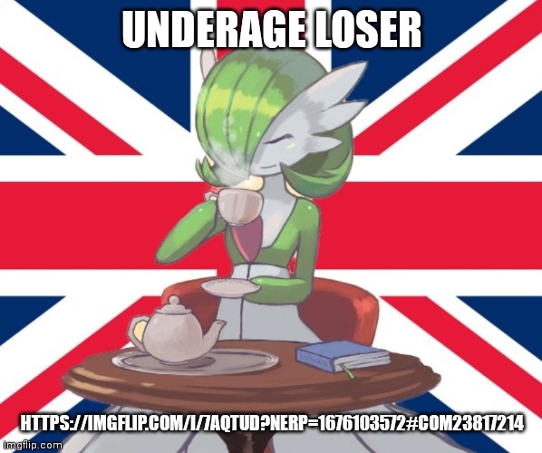 My opinion | UNDERAGE LOSER; HTTPS://IMGFLIP.COM/I/7AQTUD?NERP=1676103572#COM23817214 | image tagged in gardi the bri'ish | made w/ Imgflip meme maker