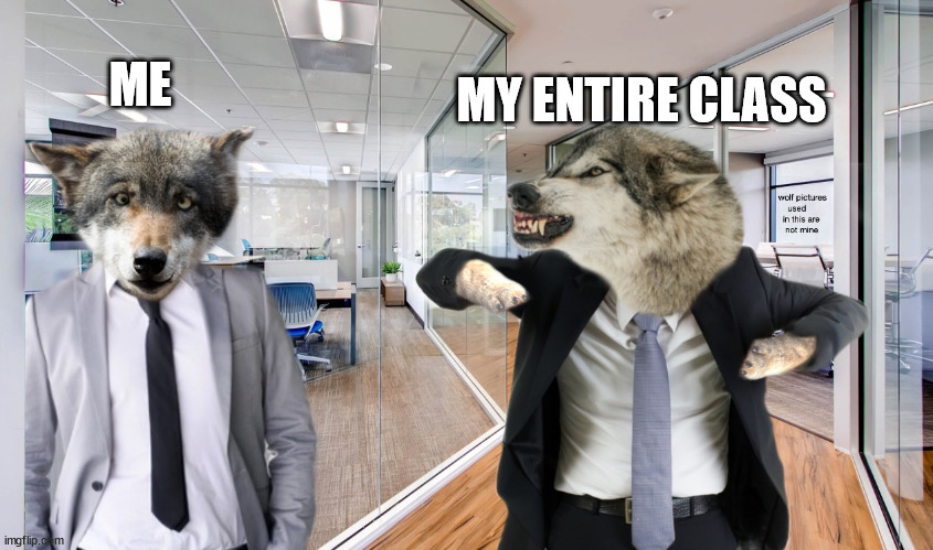 Hangry Wolf Manager (no watermark) | ME MY ENTIRE CLASS | image tagged in hangry wolf manager no watermark | made w/ Imgflip meme maker