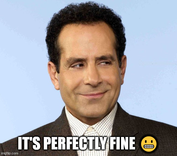 Monk, the OCD Detective | IT'S PERFECTLY FINE ? | image tagged in monk the ocd detective | made w/ Imgflip meme maker